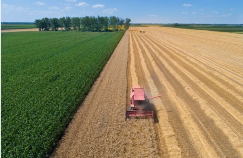Manodopera in agricoltura: prima i disoccupati e i giovani